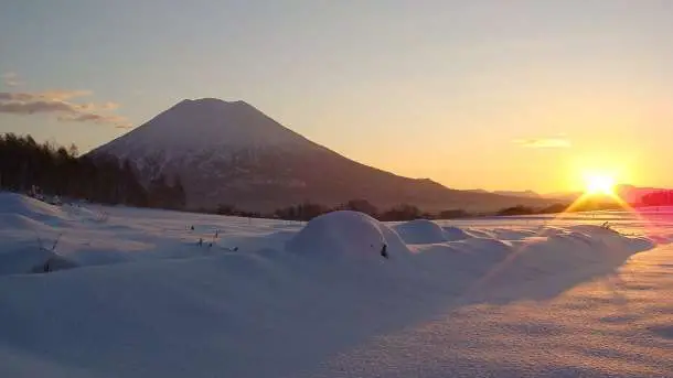 Niseko Powder Connection