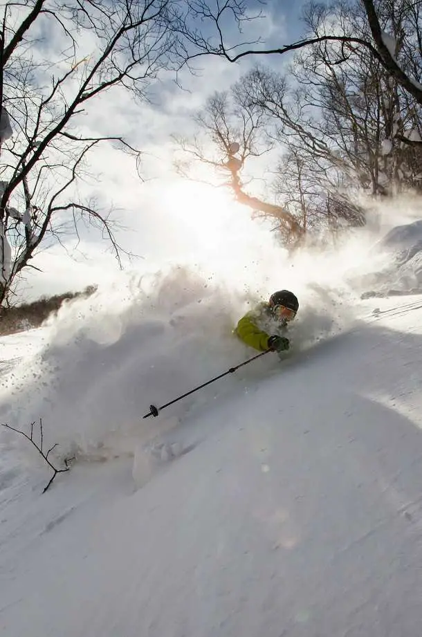 Ski Holidays In Japan