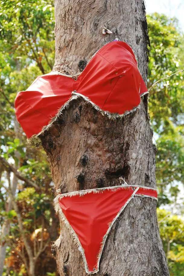 Plus Size Swimwear Bikini | Far North Queensland | Plus Size Swimwear - The Tree Bikini! | Far North Queensland | Author: Anthony Bianco - The Travel Tart Blog