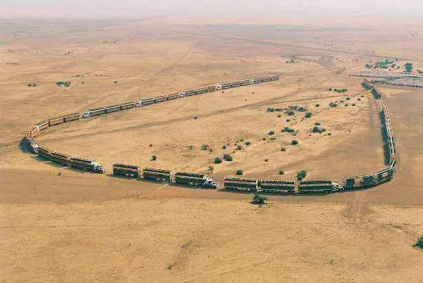 Cow Transport | Australia | Road Trains In Australia - Large Semi Trailer Cattle Trucks For Burger Transport! | Australia | Author: Anthony Bianco - The Travel Tart Blog