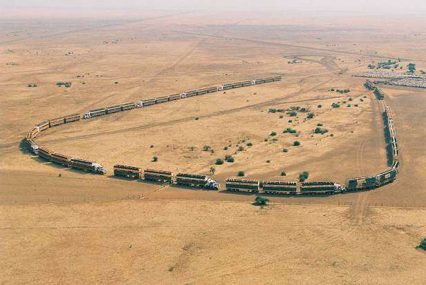 Cow Transport | Vietnam Travel Blog | Road Trains In Australia - Large Semi Trailer Cattle Trucks For Burger Transport! | Australia, Big Trucks, Cattle Trucks, Large Trucks, Livestock Transport, Longest Road Trains, Mack Trucks, Outback, Road Trains, Road Trains In Australia, Semi Trailers, Transporting Cows, Trucker, Types Of Truck | Author: Anthony Bianco - The Travel Tart Blog