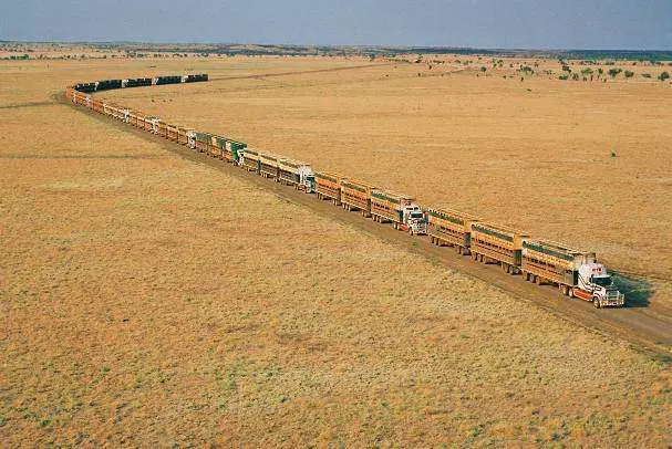Road Trains In Outback Australia - Large Semi Trailer Cattle Trucks For Transport!