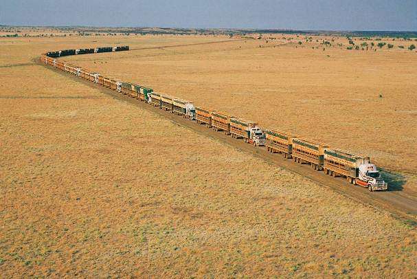 Road Trains In Outback Australia - Large Semi Trailer Cattle Trucks For Transport!