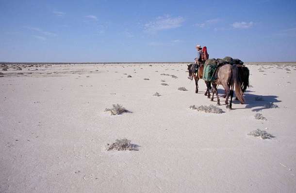 Desert Trekking