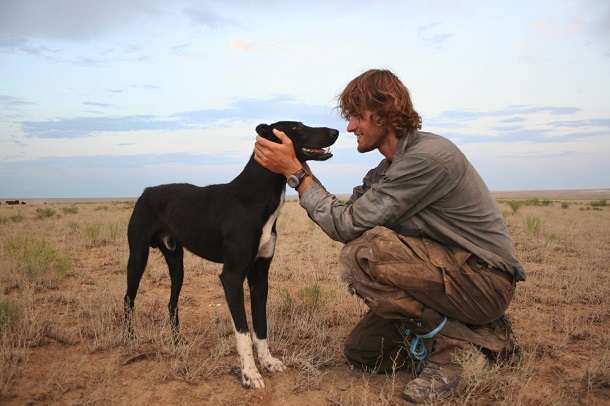 Tigon - Kazkh Dog