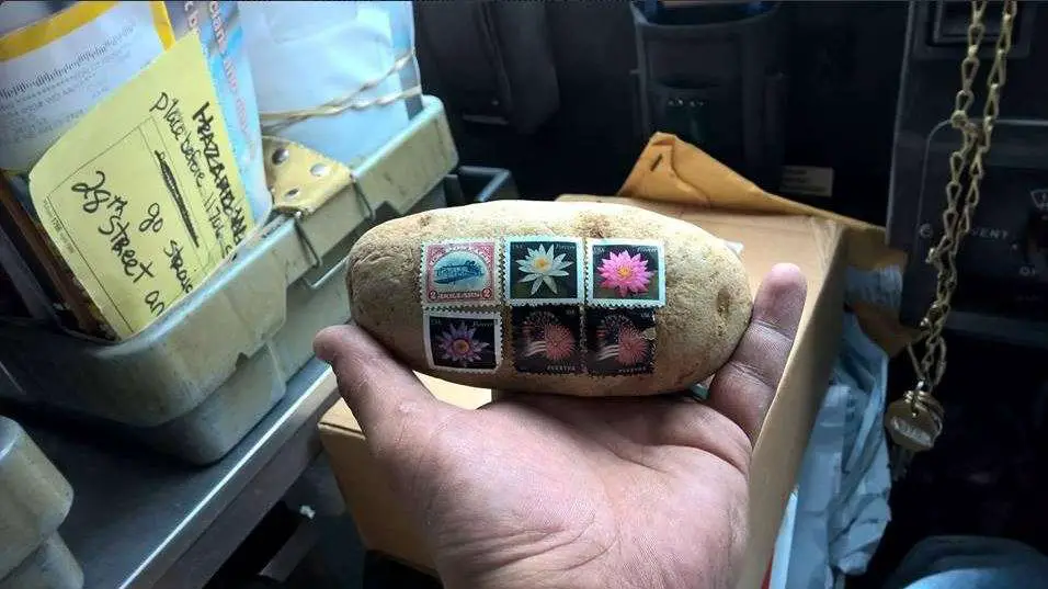 Mail A Spud | Potatoes | Love Potatoes? Then Send Your Friend A Spud! | Potatoes | Author: Anthony Bianco - The Travel Tart Blog