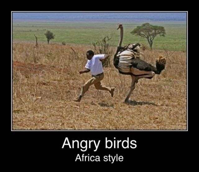 Angry Birds