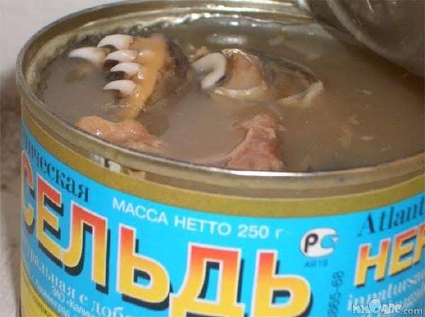 Canned Meat