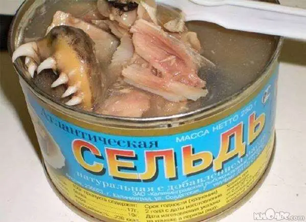 Canned Wtf | Weird Food | Canned Food Around The World - Chicken, Fish, Burgers &Amp; Mystery Meat! | Weird Food | Author: Anthony Bianco - The Travel Tart Blog
