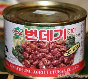 Chinese Canned Food Insects