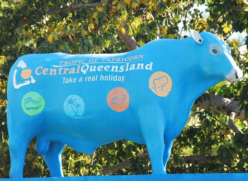 Mad Cow Disease Crazy Statues | Australia Travel Blog | Cattle Country - The Beef City Of Bovine Statues! | Australia Travel Blog | Author: Anthony Bianco - The Travel Tart Blog