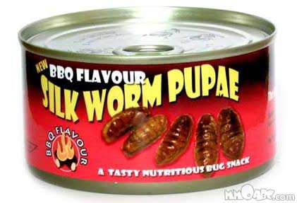 Canned Silk Worm Pupae