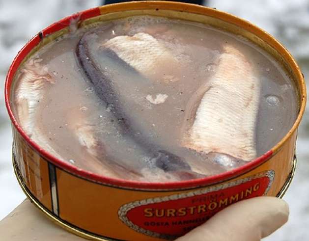 Surströmming Can - Sweden