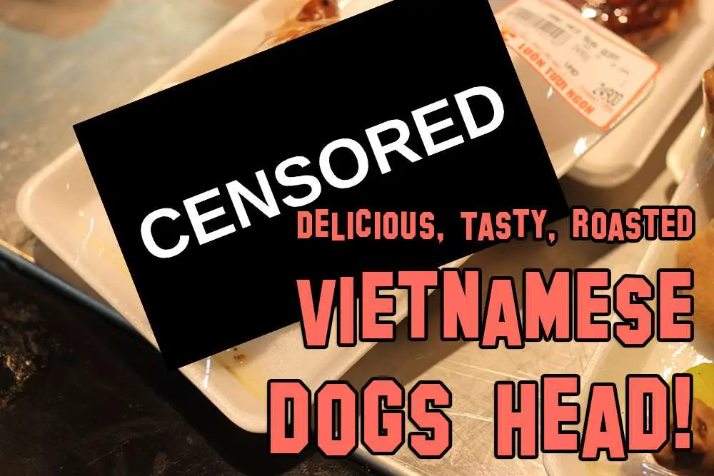 Dog Head | Vietnam | Eating Dog Head - Straight From The Supermarket! | Vietnam | Author: Anthony Bianco - The Travel Tart Blog