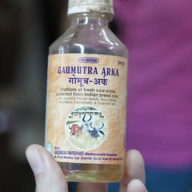 Gomutra Cow Urine