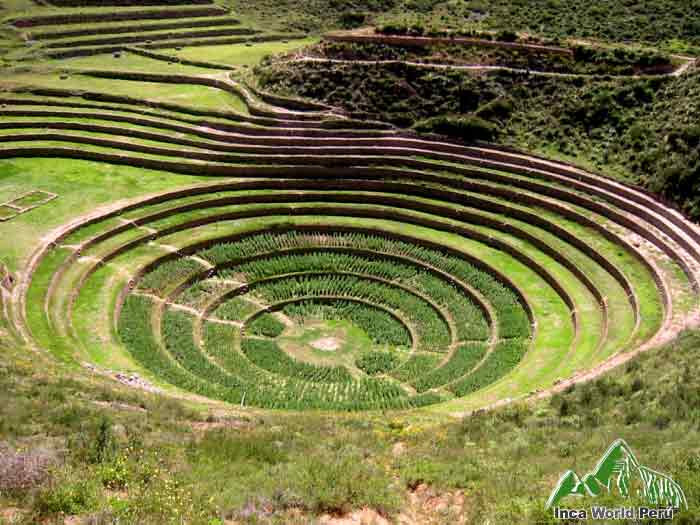 Terraces Of Moray Peru