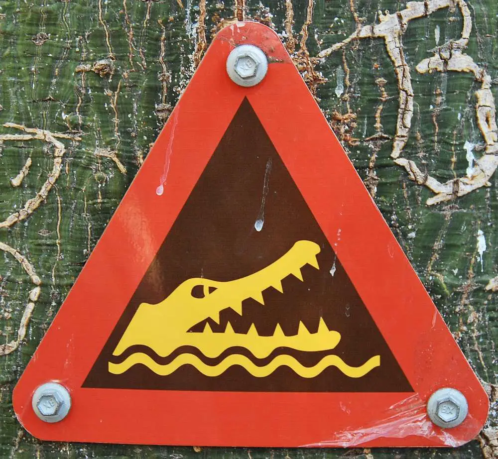 Crocodile Logo | Australia | Saltwater Crocodiles - Don'T Swim With Them! | Australia | Author: Anthony Bianco - The Travel Tart Blog