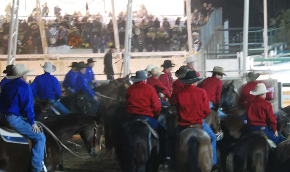 Horseback Riding In Australia | Australia | Horseback Riding In Australia - Campdrafting | Australia | Author: Anthony Bianco - The Travel Tart Blog