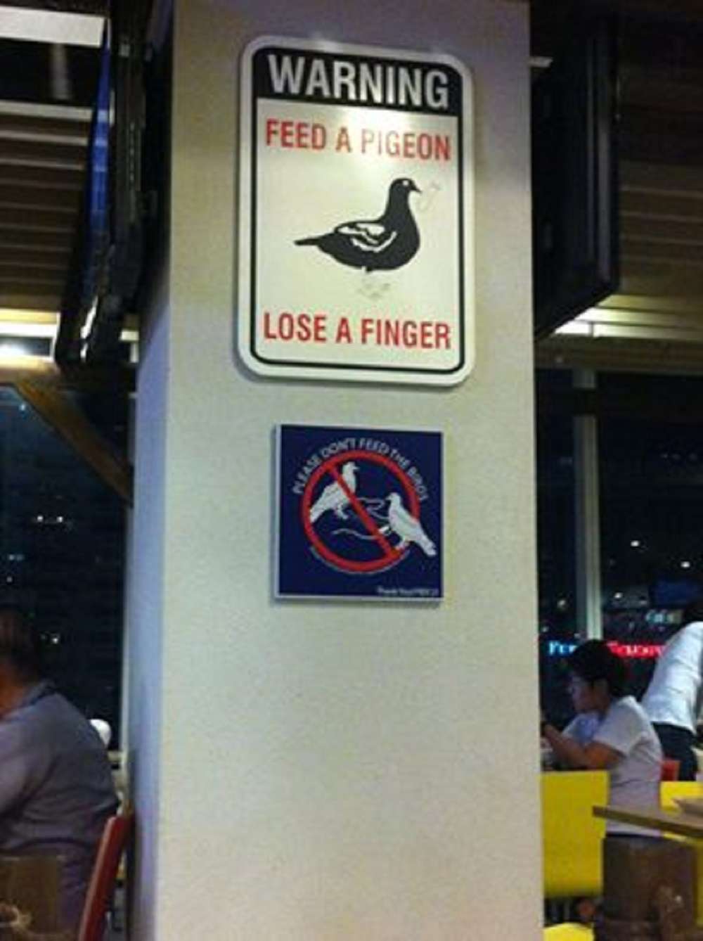 Feed The Pigeons | Funny Travel Photo | Feeding Pigeons - Is Way Too Dangerous! | Funny Travel Photo | Author: Anthony Bianco - The Travel Tart Blog