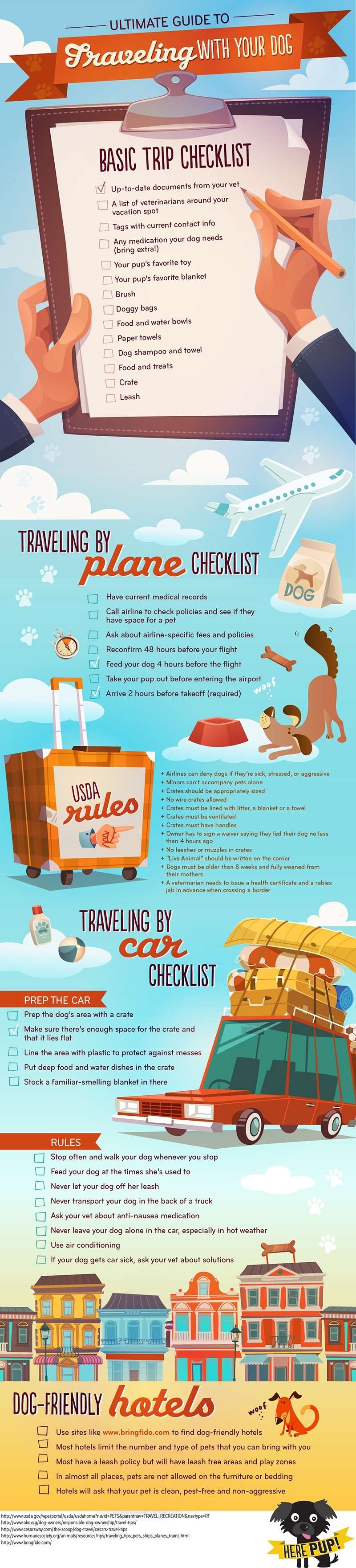 Pet Travel Dogs Infographic