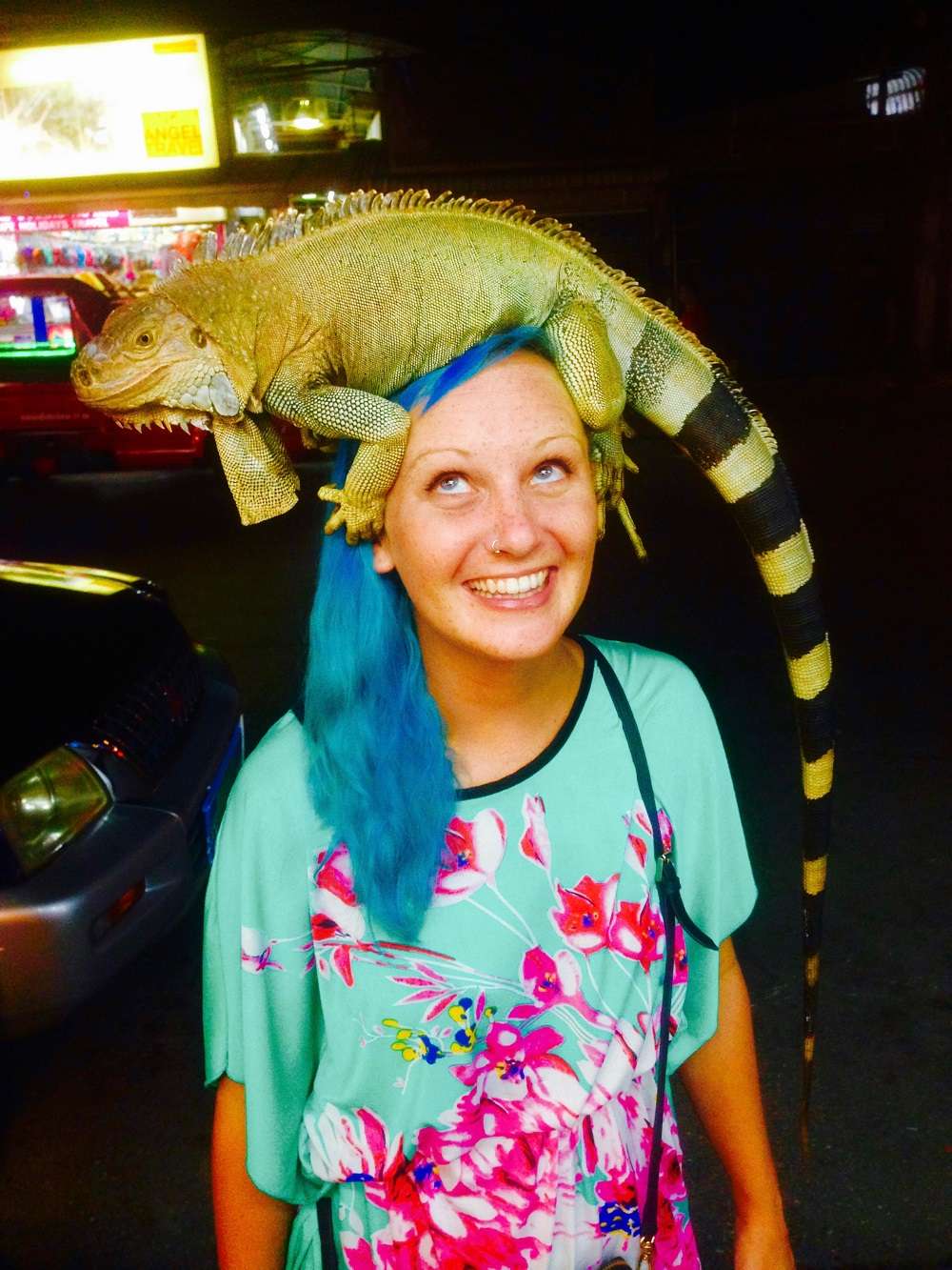 Iguanas In Thailand