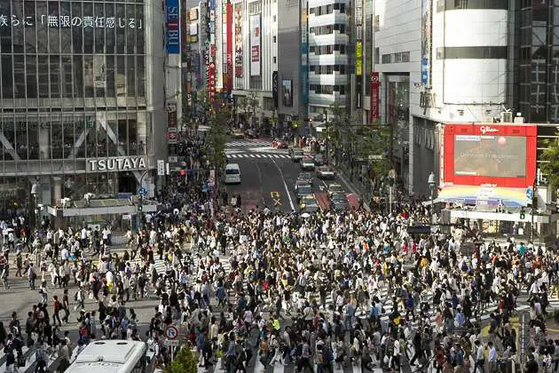 Shibuya Crossing &Amp; Hachiko