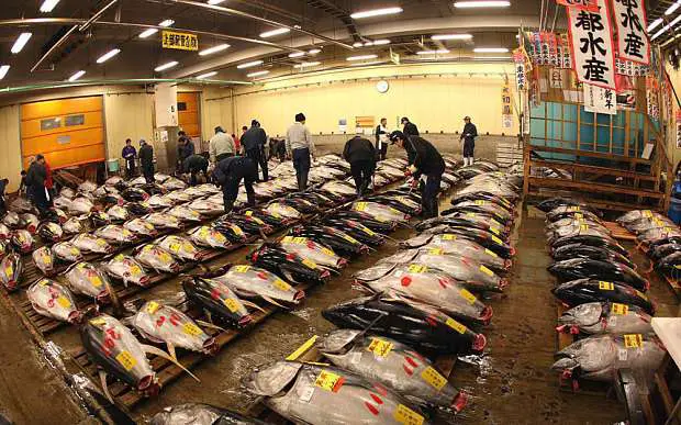 Tsukiji Fish Market