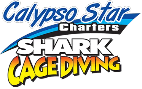Calypso-Star-Charters-Shark-Cage-Diving