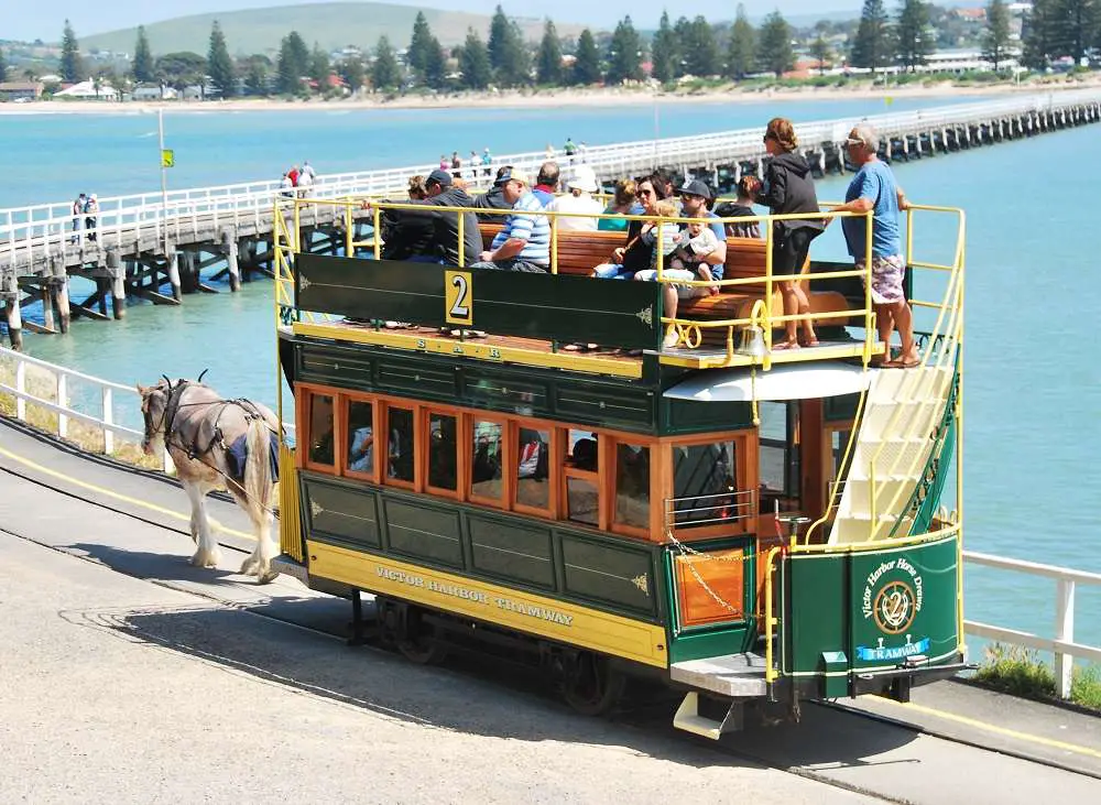 Clydesdale-Horse-And-Tram