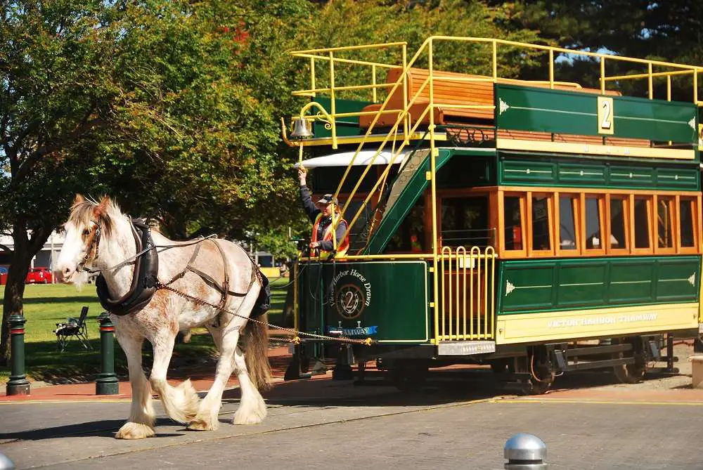 Horse Drawn Tram | South Australia | The Horse Drawn Tram - A Nice Life In The Slow Lane.. | South Australia | Author: Anthony Bianco - The Travel Tart Blog