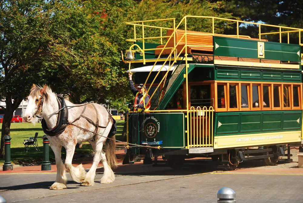 Horse Drawn Tram | Australia Travel Blog | The Horse Drawn Tram - A Nice Life In The Slow Lane.. | Australia Travel Blog | Author: Anthony Bianco - The Travel Tart Blog