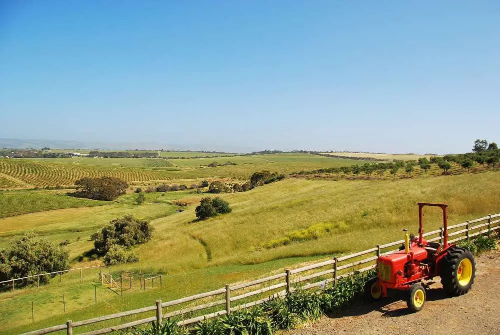 Mclaren-Vale-Wine