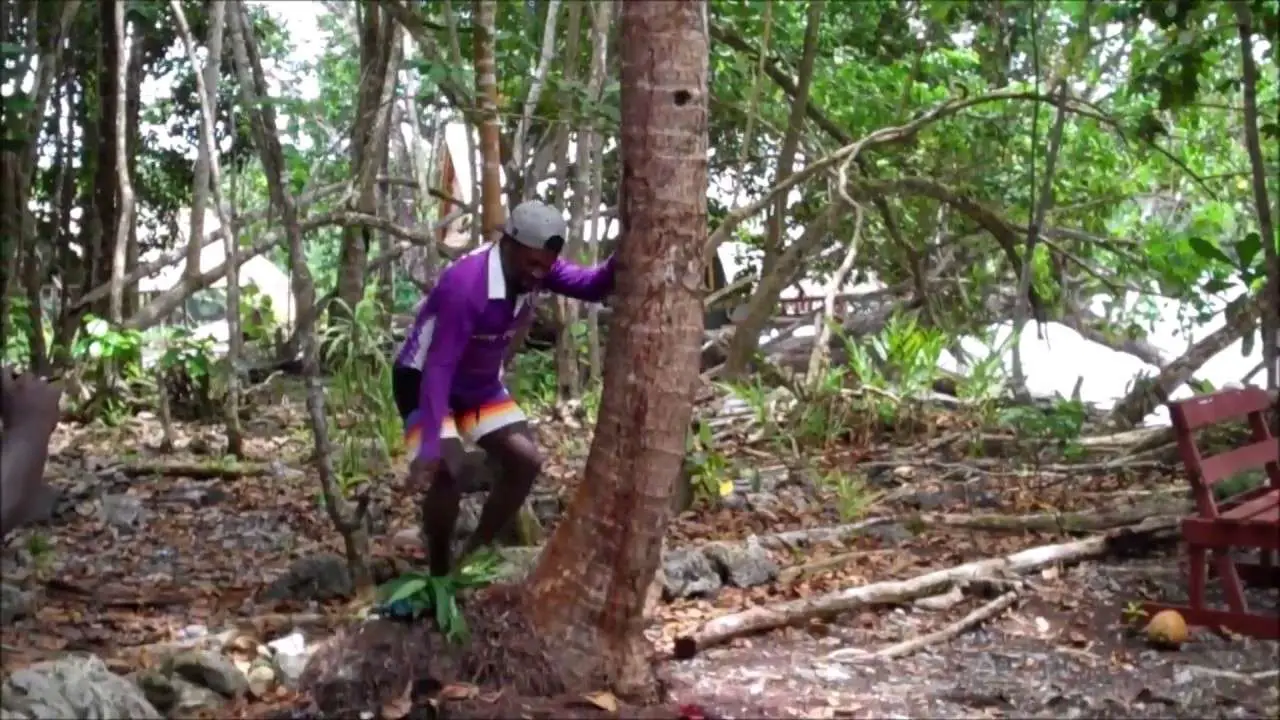 Pr Gbz6Co5K | Solomon Islands Travel Blog | How To Climb A Coconut Tree! | Solomon Islands Travel Blog | Author: Anthony Bianco - The Travel Tart Blog