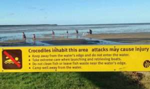 Things To Do In Cairns Crocodile Areas | Crocodiles And Alligators! | Alligators, Crocodiles, Reptiles | Author: Anthony Bianco - The Travel Tart Blog