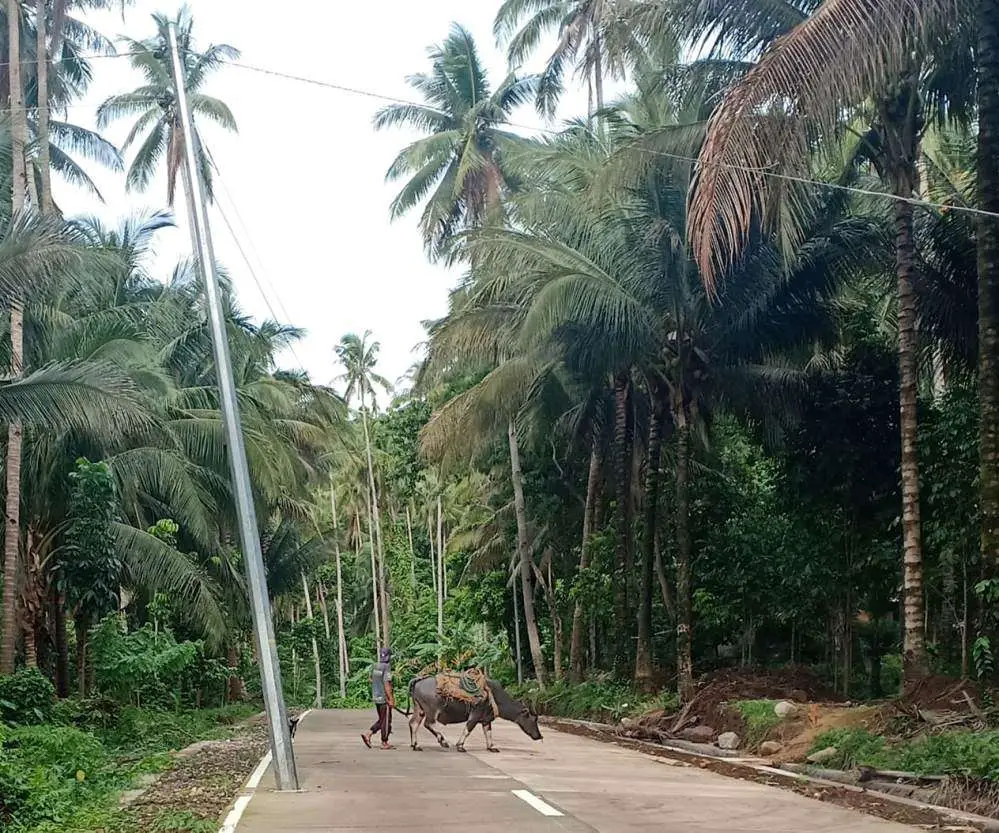 Utility Poles Electricity Power | Philippines Travel Blog | High Voltage Electricity Transmission Lines - The Best Installation Of Utility Poles! | Philippines Travel Blog | Author: Anthony Bianco - The Travel Tart Blog