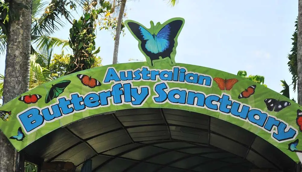 Australian Butterfly Sanctuary Kuranda Queensland Australia