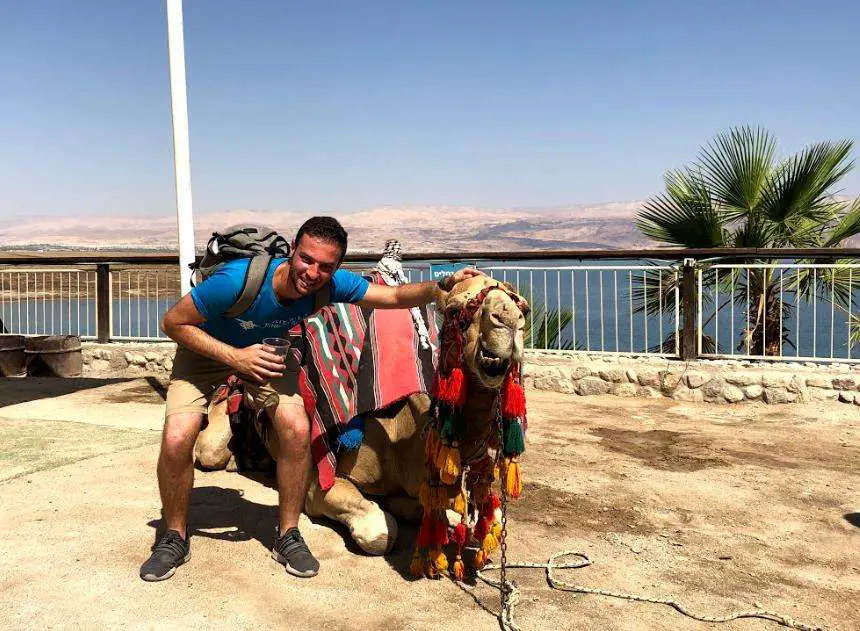 Camel Dead Sea