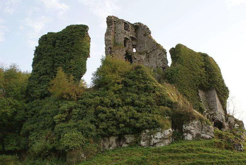 Carrigogunnell Castle 