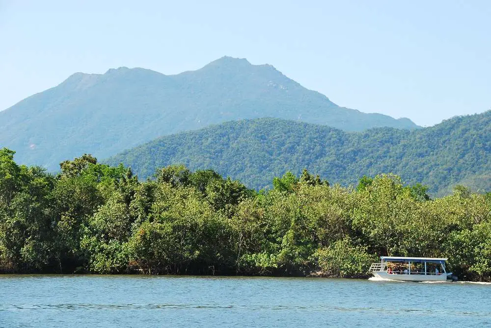 Daintree River Tours Australia