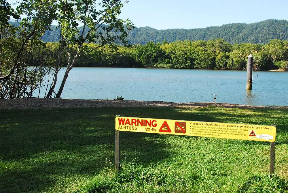 Daintree River Ferry Crossing