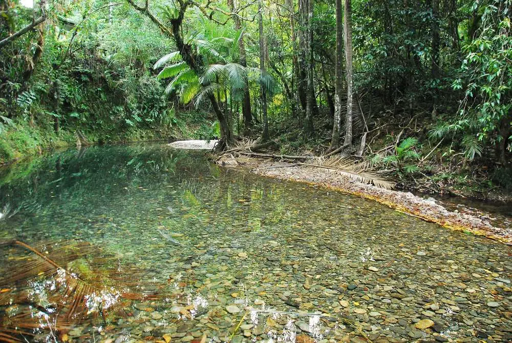 Heritage Lodge Cape Tribulation Accommodation