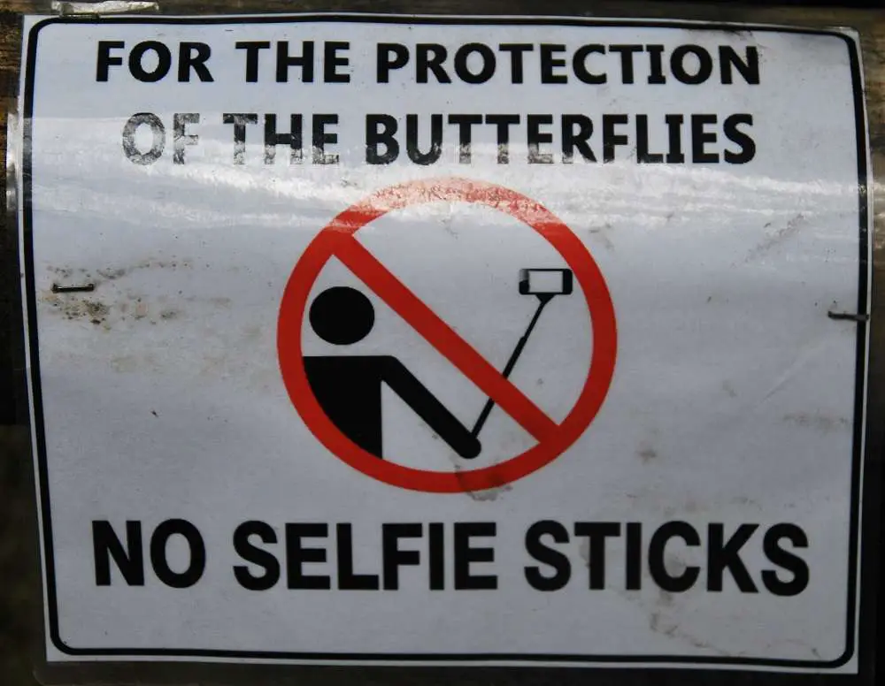 No Selfie Sticks Sign