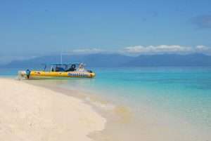 Ocean Safari Cape Tribulation | Crocodiles And Alligators! | Alligators, Crocodiles, Reptiles | Author: Anthony Bianco - The Travel Tart Blog