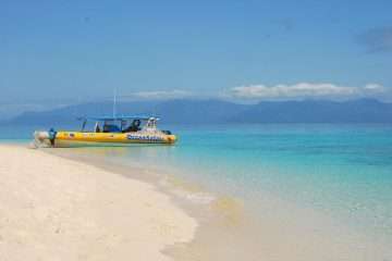 Ocean Safari Cape Tribulation | Oceania Travel Blog | Things To Do In Cape Tribulation &Amp; The Daintree Rainforest! | Oceania Travel Blog | Author: Anthony Bianco - The Travel Tart Blog