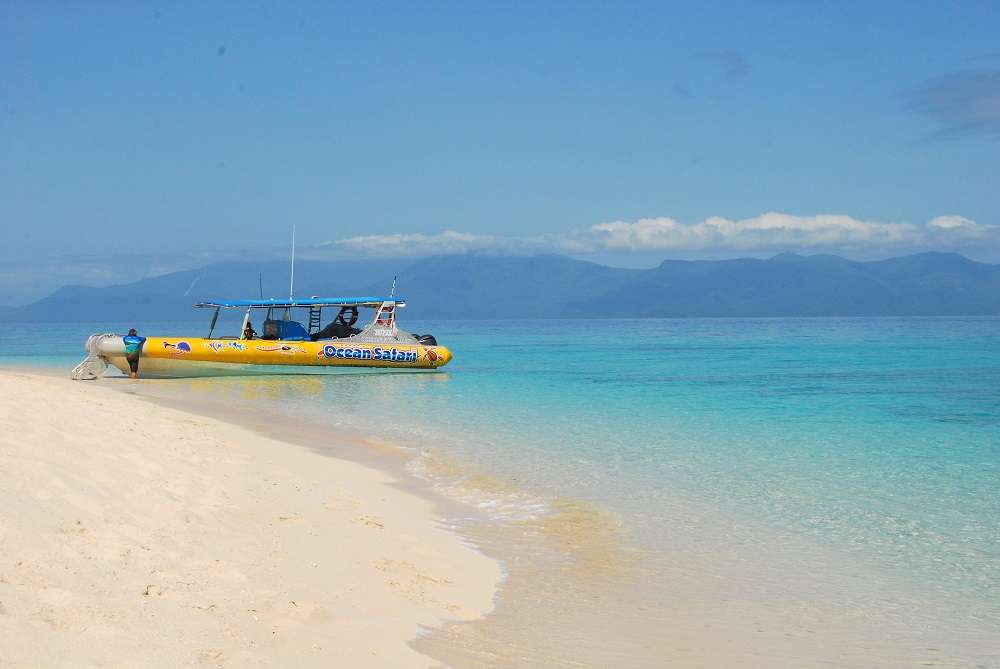 Ocean Safari Cape Tribulation | Australia Travel Blog | Things To Do In Cape Tribulation &Amp; The Daintree Rainforest! | Australia Travel Blog | Author: Anthony Bianco - The Travel Tart Blog