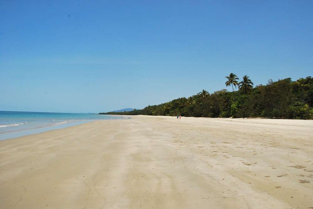 Things To Do In Cape Tribulation &Amp; The Daintree Rainforest!