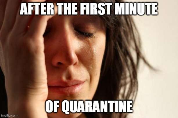 Quarantine Memes